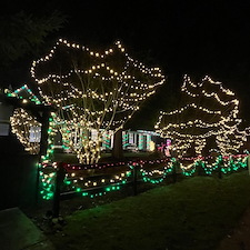 Holiday Light 3